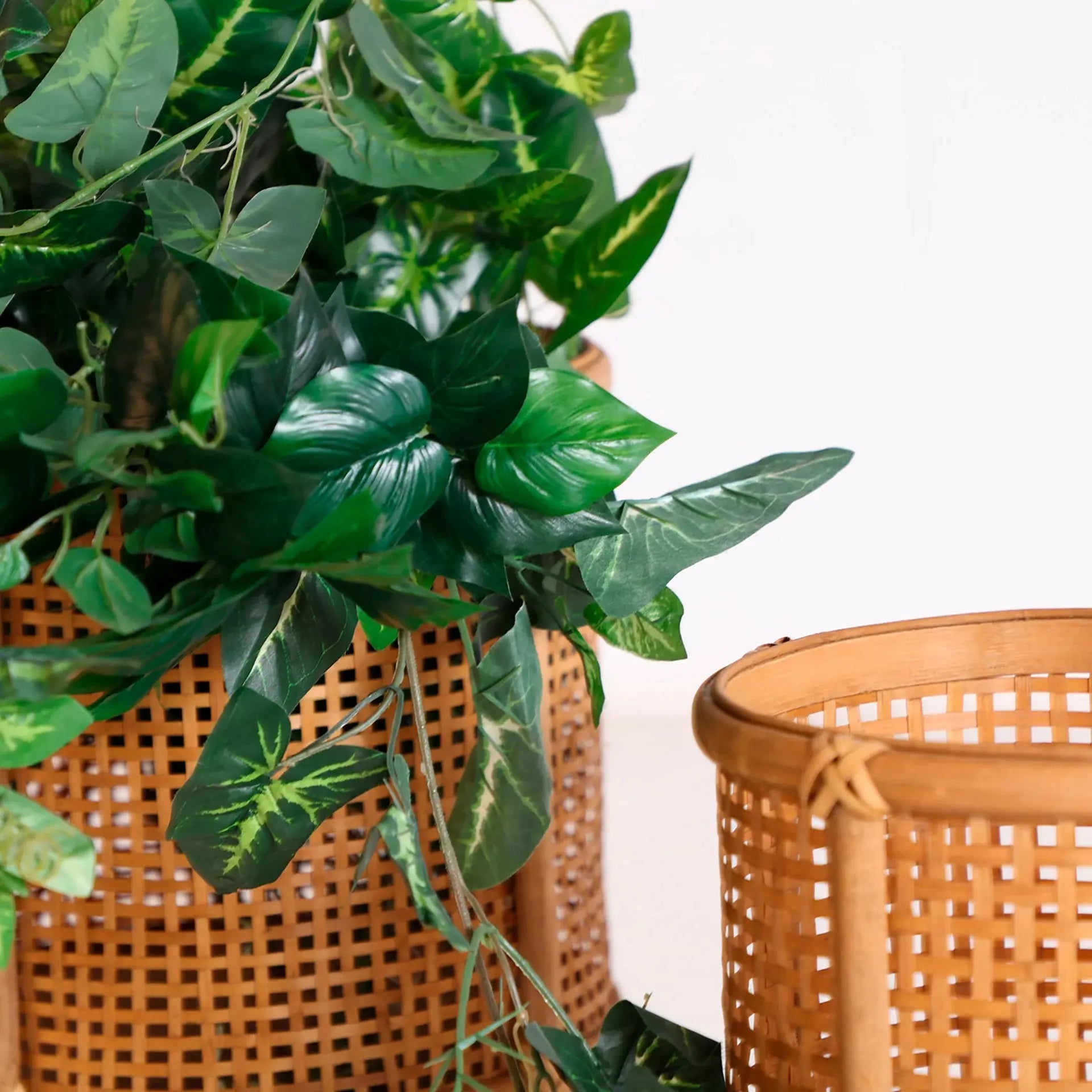 Pot de Fleurs Arteaga Set 2