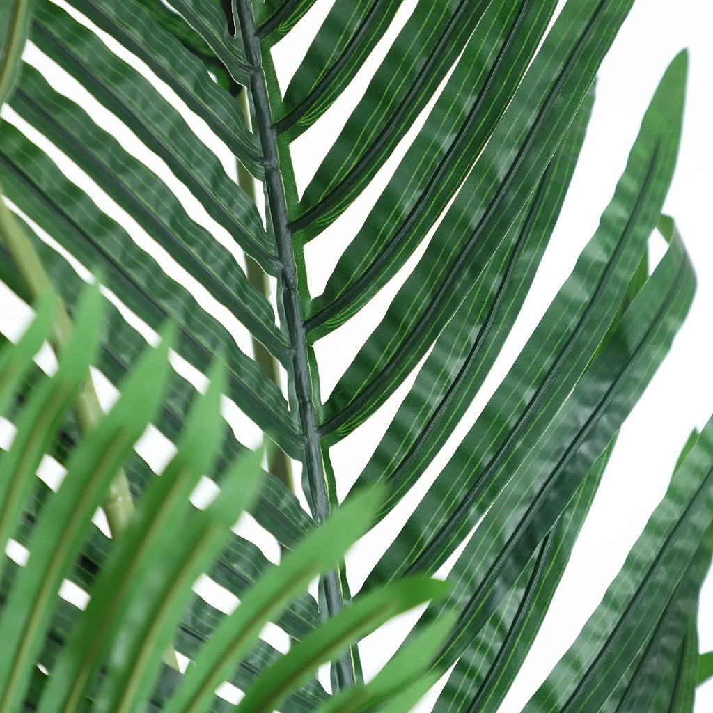 Plante Areca KODU