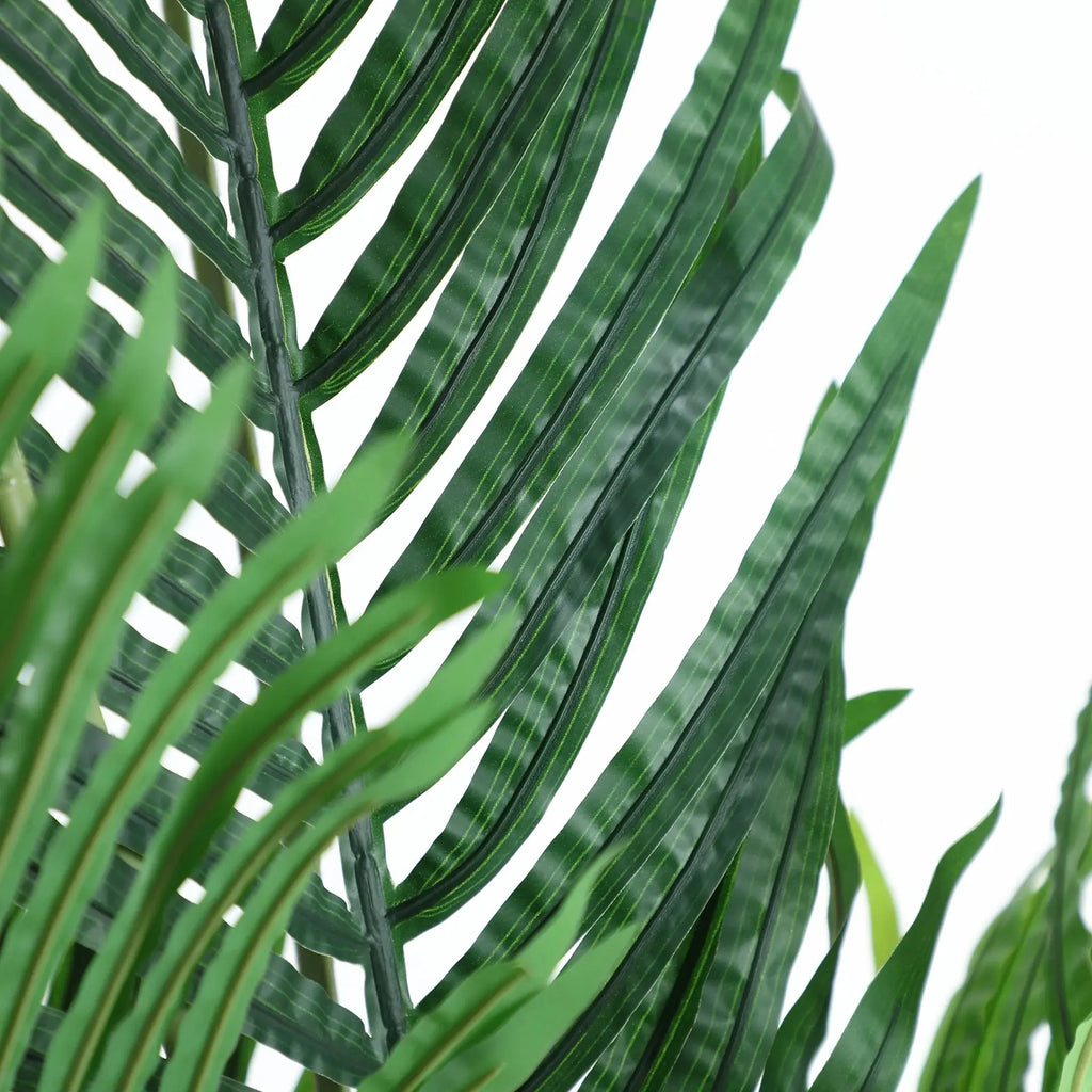 Plante Areca KODU