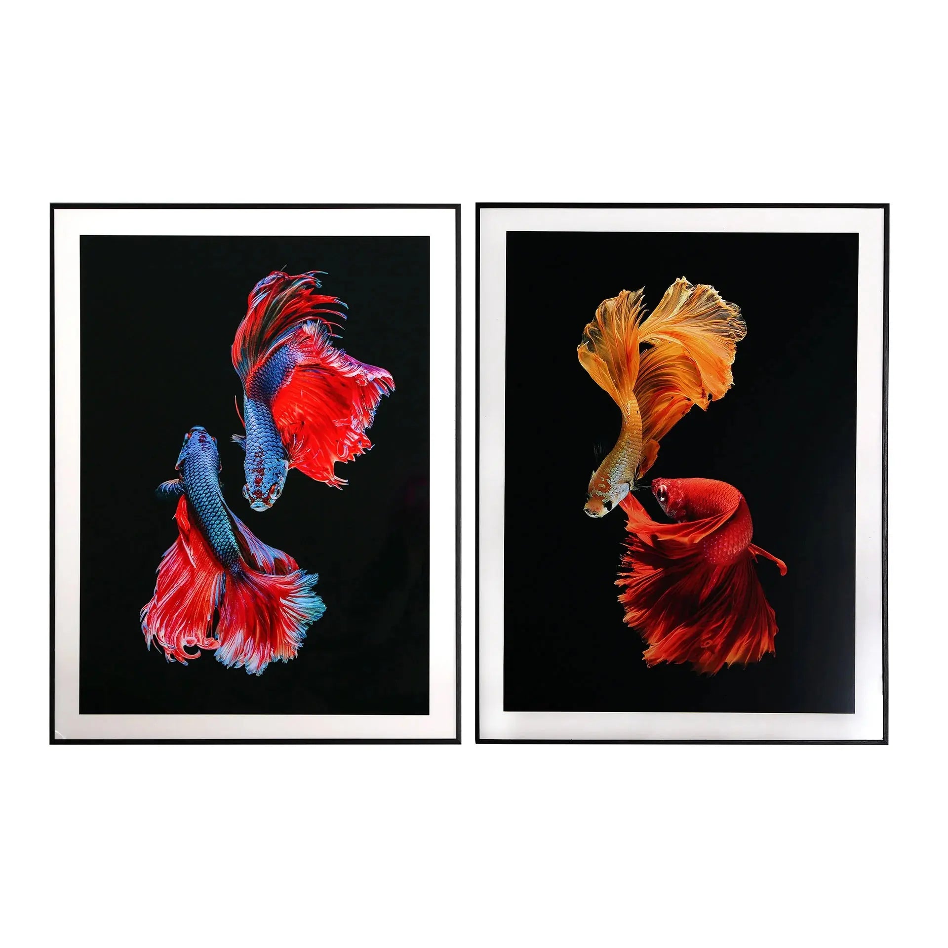 Tableau Elka Set 2 KODU